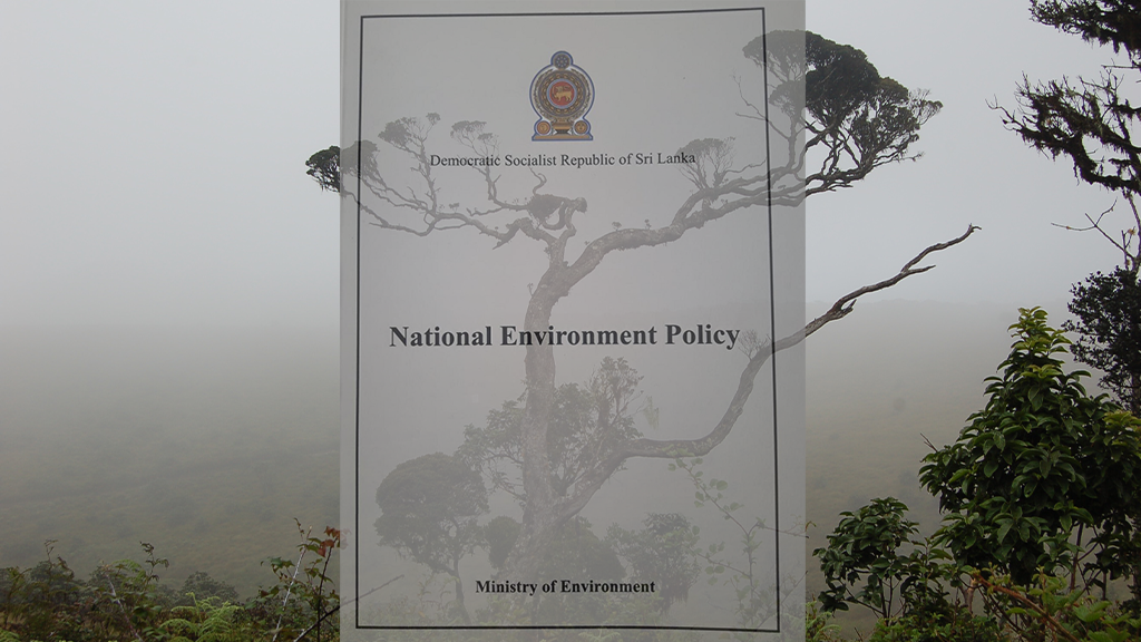 environmental issues in sri lanka essay