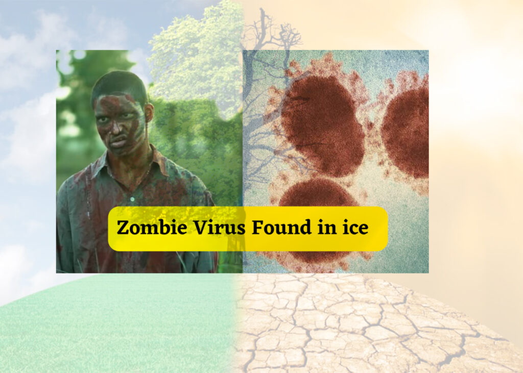 Zombie Virus & Impacts of Climate Change on ReEmergence of Viruses! Climate Fact Checks