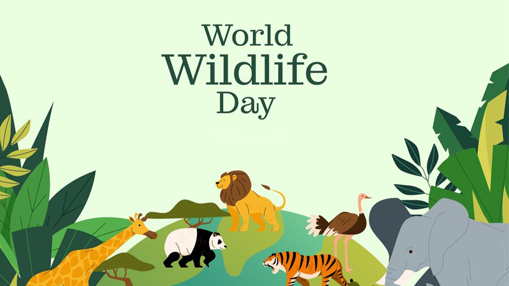 World Wildlife Day 2023 Climate Fact Checks