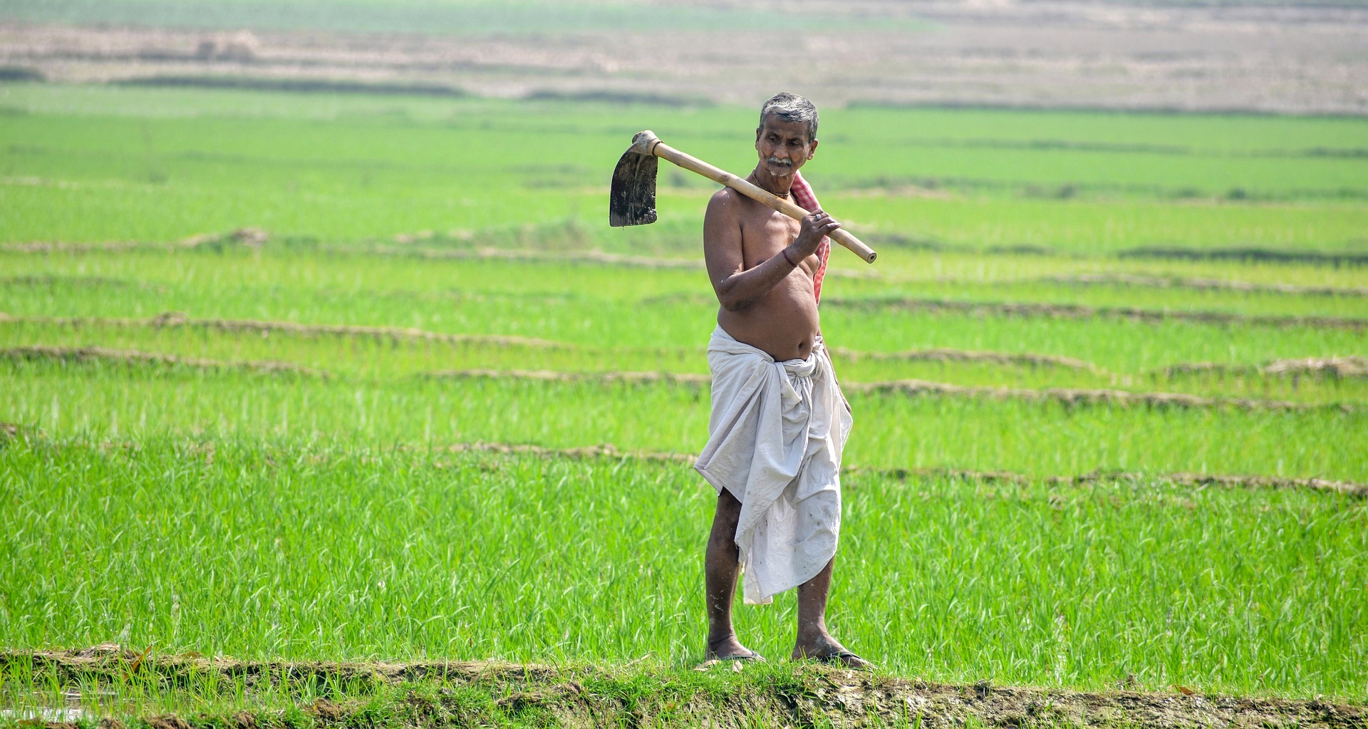 farmer-suicides-in-india-archives-climate-fact-checks