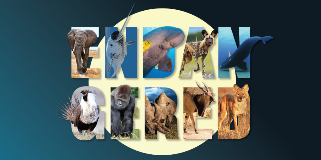 Climate change leads to endangered species extinction! - Climate Fact ...