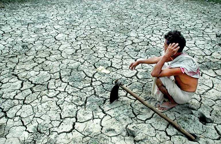 Does Sri Lanka drive to desertification through prolonged droughts ...