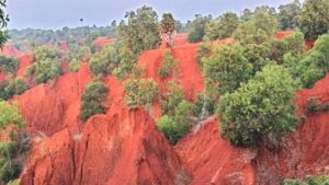 Destruction of Erra Matti Dibbalu sand dunes in India, highlighting environmental degradation and urgent need for conservation.