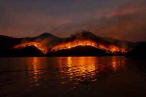 "Image of a fire burning in the Amazon rainforest"